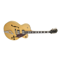 G2420 STREAMLINER™ HOLLOW BODY WITH CHROMATIC II, LAUREL FINGERBOARD, BROAD'TRON™ PICKUPS, VILLAGE AMBER