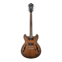 Ibanez AS53 TF Semi Hollow Body Electric Guitar
