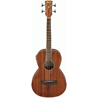 IBANEZ PNB14E OPN ACOUSTIC BASS GUITAR