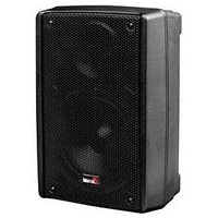 Biema 10" 300W Passive Speaker