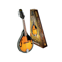 BRYDEN Mandolin Starter Pack