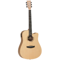 Tanglewood TDBTDCEHR Discovery Exotic Dreadnought Acoustic/Electric Guitar
