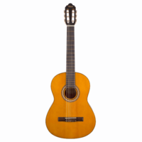 Valencia 4/4 Full Size Student Guitar